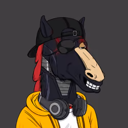 Horse Kingdom #8879