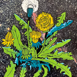 Cosmic flower 188719626670054478562669105609137414715460010957784007367725271961436