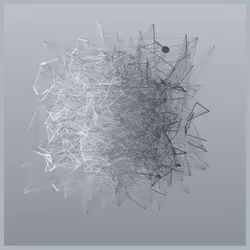 81