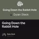 Going Down the Rabbit Hole