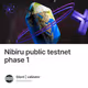 Nibiru public testnet phase 1 节点 教程