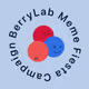 BerryLab Meme Fiesta