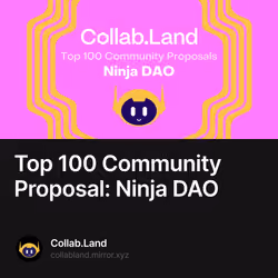 Top 100 Community Proposal: Ninja DAO 19/500