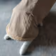 hermit cat