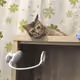 CuteCatTicket