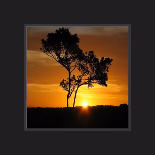 Soicul - Afrikan Tree - Forever #1