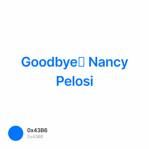 Goodbye？ Nancy Pelosi 1/500