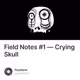 Field Notes #1 — Crying Skull