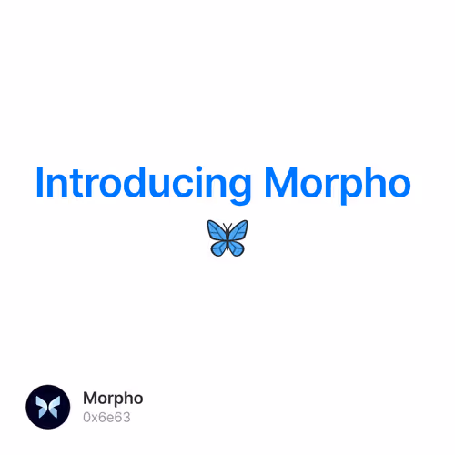 Introducing Morpho 🦋 4