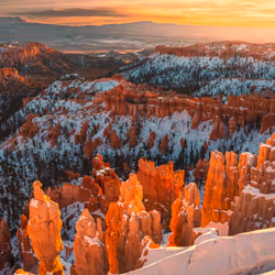 Pillars of Gold