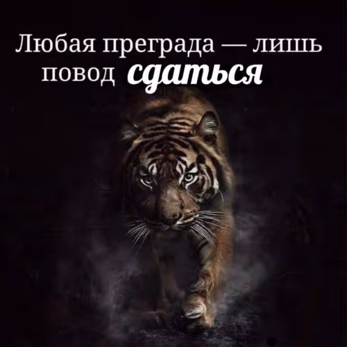 Item #12 Media