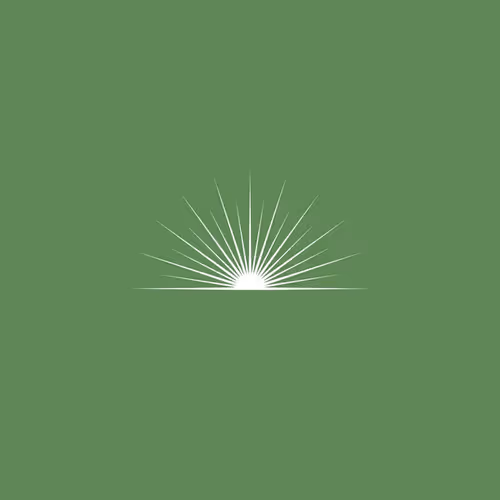 DevCon VI x SUNSHINE