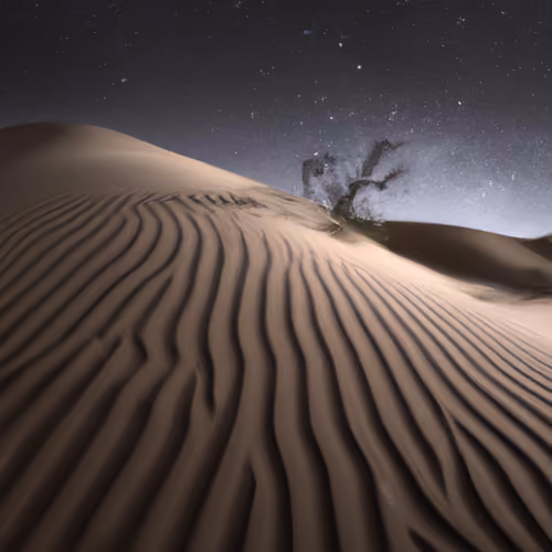  desertNight