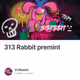 313 Rabbit premint