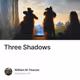Three Shadows