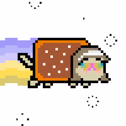 Nyanlady #2019