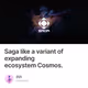 Saga like a variant of expanding ecosystem Cosmos.