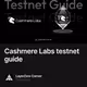 Cashmere Labs testnet guide 389/1000