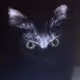 Cats_1
