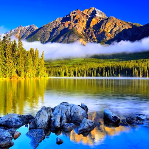 THE NATURE