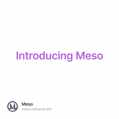 Introducing Meso 2