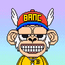 B.A.N. CLUB #3361