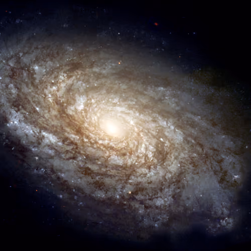 Galaxy by Zora