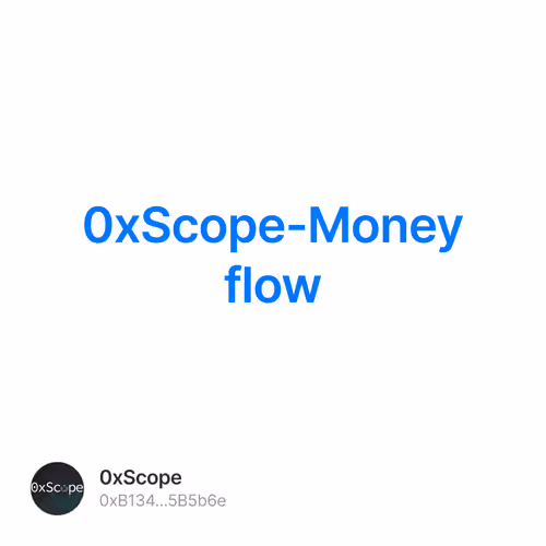 0xScope-Money flow