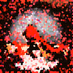 503
