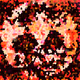 607