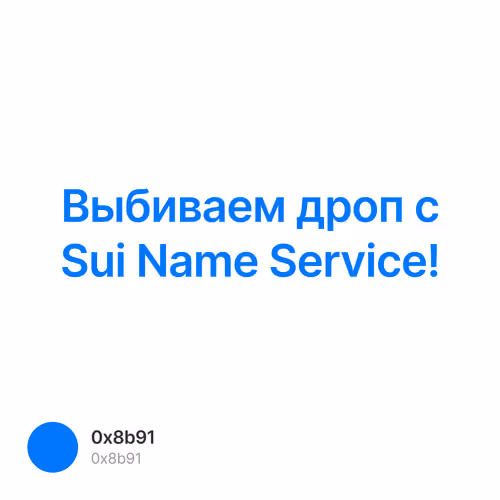 Выбиваем дроп с Sui Name Service! 1/500