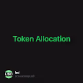 Token Allocation