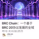 BRC Chain：一个基于BRC 20协议发展的全域型生态创新项目