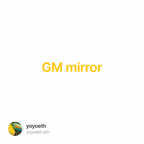 GM mirror