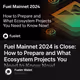 Fuel Mainnet 2024 is Close: How to Prepare and What Ecosystem Projects You Need to Know No