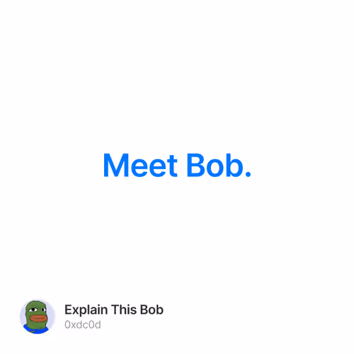 Meet Bob.