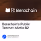 Berachain's Public Testnet bArtio B2