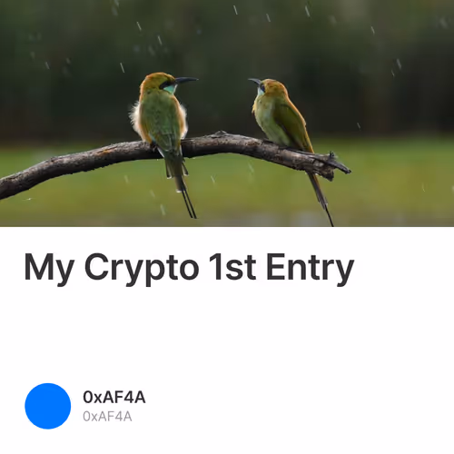 My Crypto 1st Entry