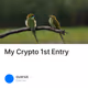 My Crypto 1st Entry
