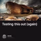 Testing this out (again)