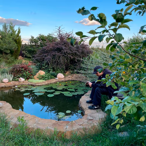 Discotopia - City Jungle