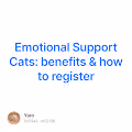 Emotional Support Cats: benefits & how to register