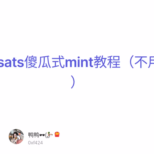 BTC域名.sats傻瓜式mint教程（不用全节点篇）