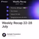 Weekly Recap 22-28 July