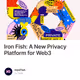Iron Fish: A New Privacy Platform for Web3