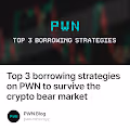 Top 3 borrowing strategies on PWN to survive the crypto bear market