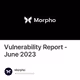 Vulnerability Report - June 2023