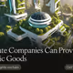 Private Companies Can Provide Public Goods