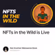 NFTs in the Wild is Live