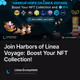 Join Harbors of Linea Voyage: Boost Your NFT Collection!